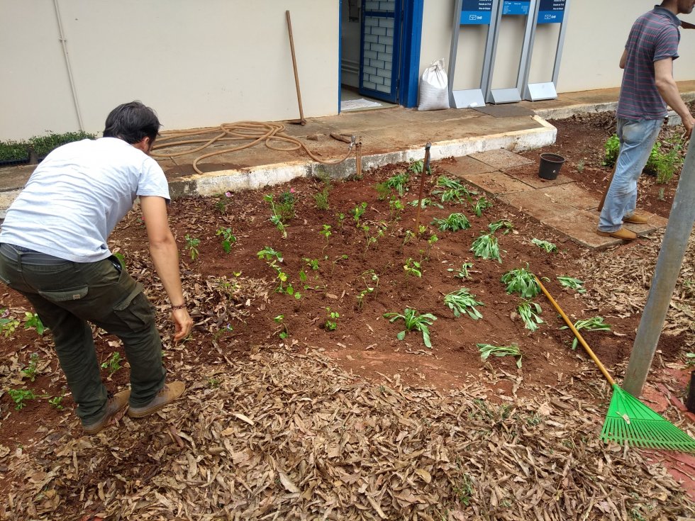 Jardinagem na PRC