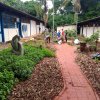 Jardinagem na PRC