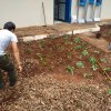 Jardinagem na PRC